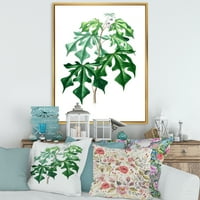 DesignArt 'Антички зелени лисја растенија II' Традиционално врамено платно wallидна уметност печатење