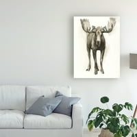 Трговска марка ликовна уметност „величествен животински свет“ платно уметност од Грејс Поп